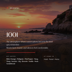 1001_story