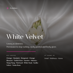 white-velvet_story