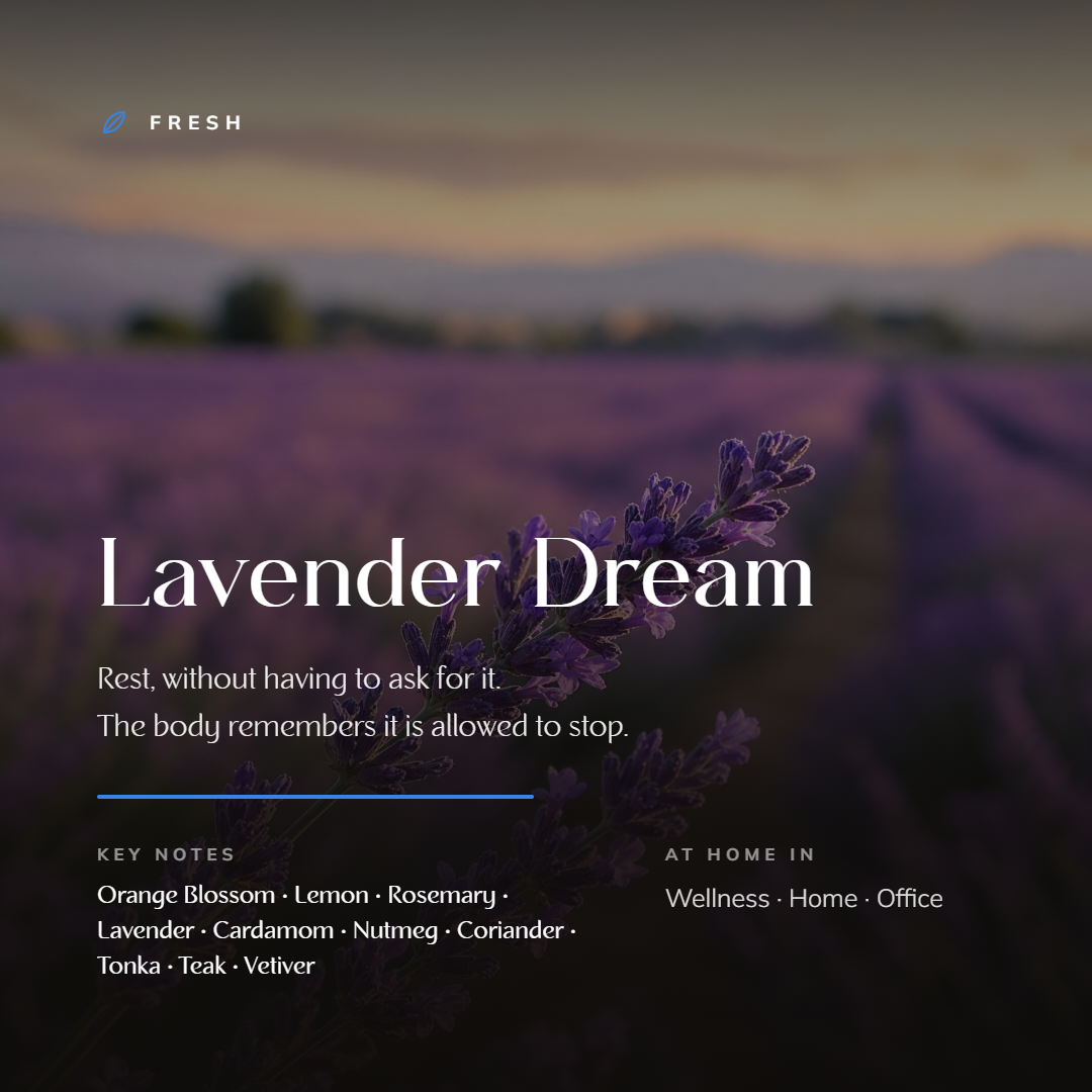 lavender-dream_story